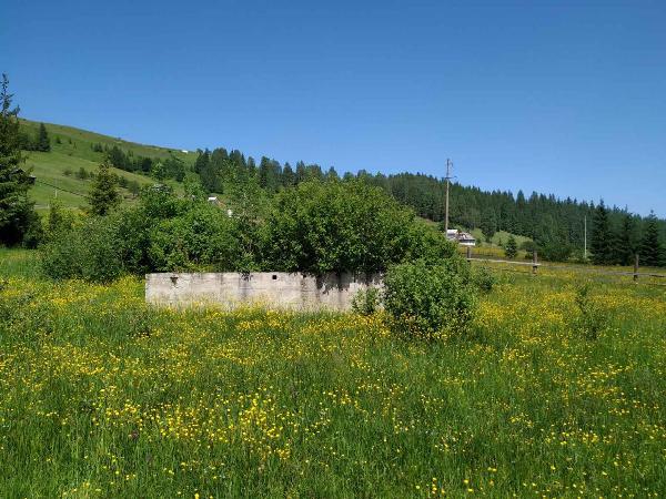  - фото нерухомості